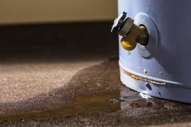 Best Water damage restoration specialists  in Sedro Woolley, WA