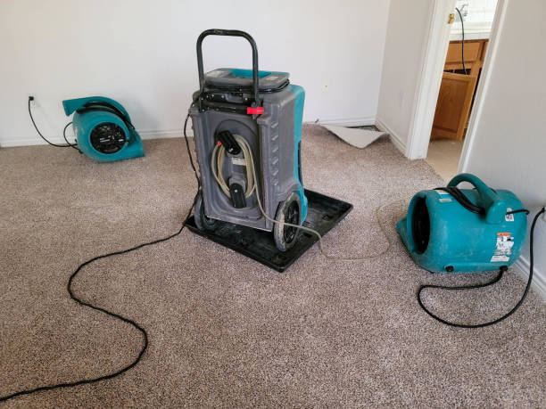 Best Flooded house restoration  in Sedro Woolley, WA