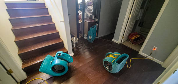 Best Water damage restoration experts  in Sedro Woolley, WA