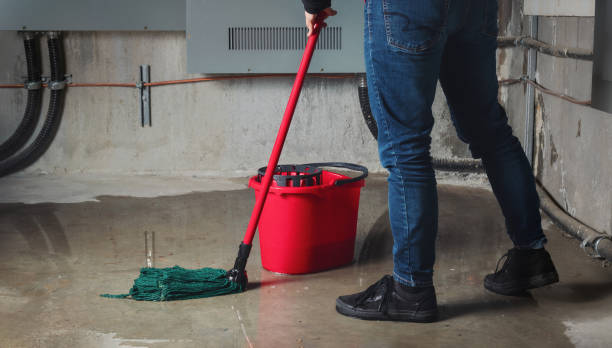 Best 24-hour water damage restoration  in Sedro Woolley, WA