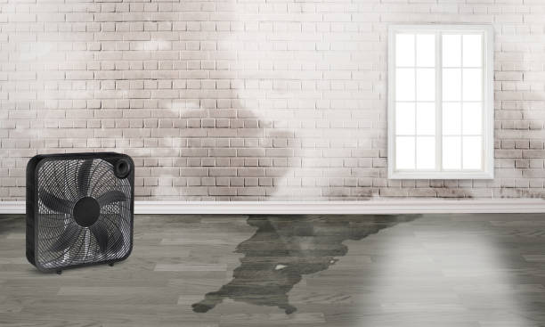 Best Water damage restoration near me  in Sedro Woolley, WA
