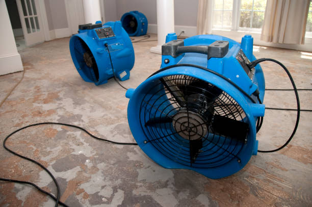 Best Local water damage restoration  in Sedro Woolley, WA