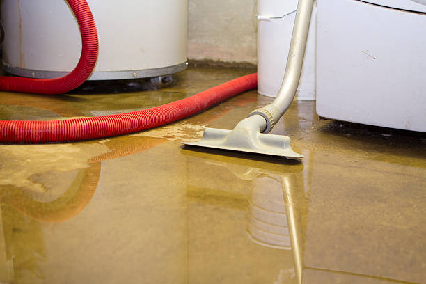 Reliable Sedro Woolley, WA Water damage restoration Solutions