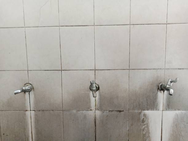 Best Commercial water damage restoration  in Sedro Woolley, WA