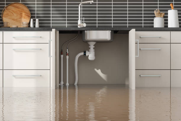 Best Sewage cleanup and water damage restoration  in Sedro Woolley, WA