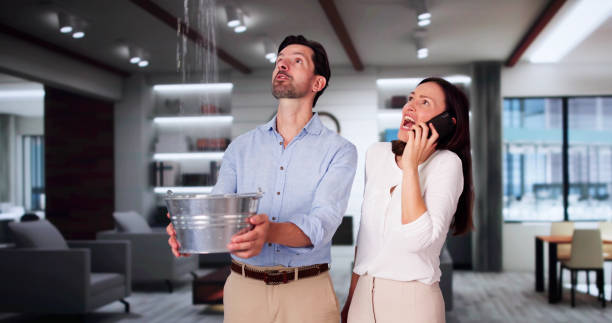 Best Basement water damage restoration  in Sedro Woolley, WA